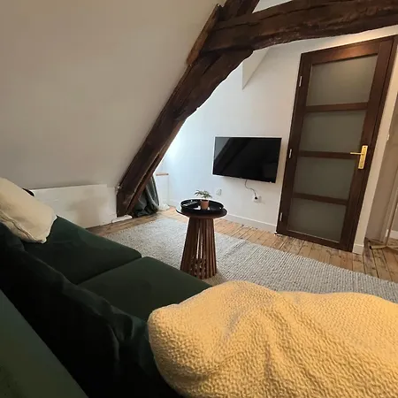Apartment Le Grenier Chic, T2 Centre-ville
