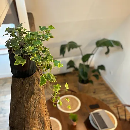 Apartment Le Grenier Chic, T2 Centre-ville